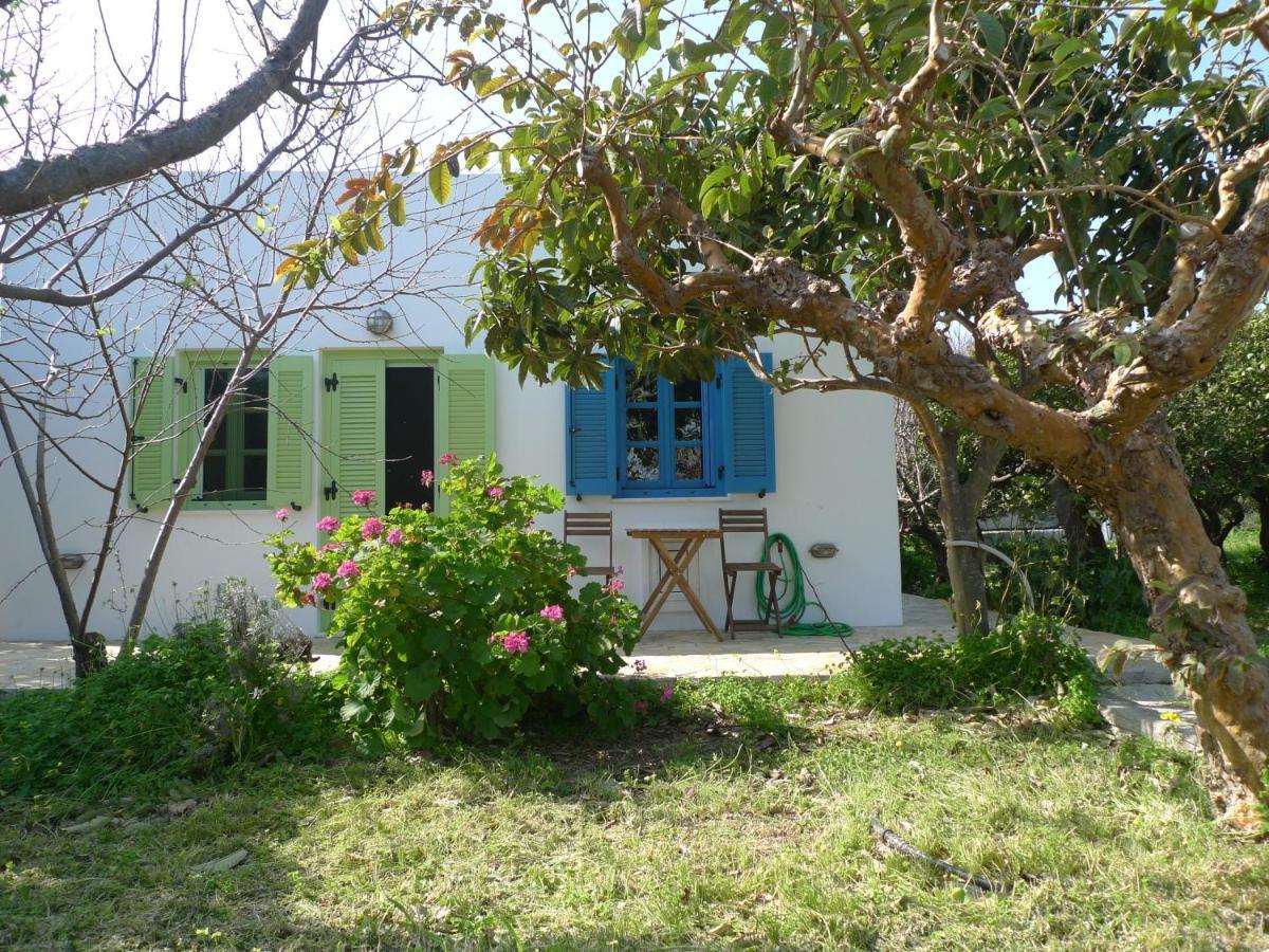 Phlea Farm Studios Alinda  Exterior foto