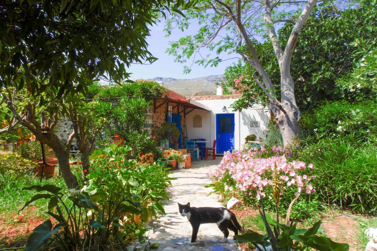 Phlea Farm Studios Alinda  Exterior foto