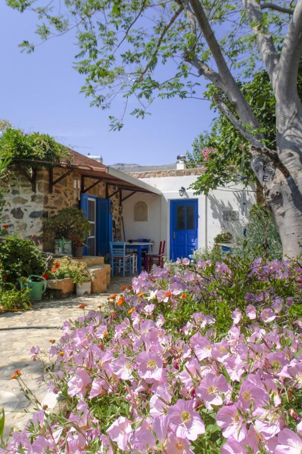 Phlea Farm Studios Alinda  Exterior foto